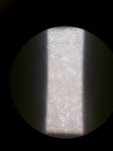 img_20160831_173924