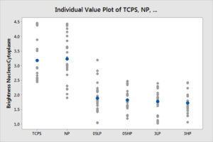 p1-24hr-ivp