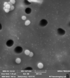 te-membrane-100-nm-pore-100-nm-beads-released2