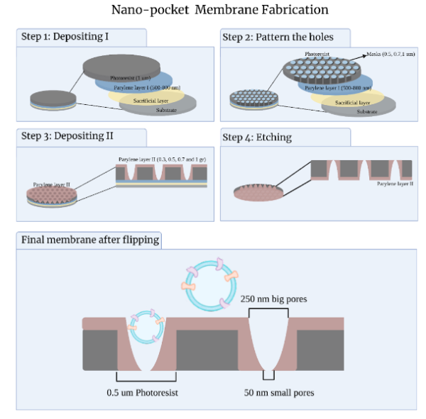 Figure 1: Fabrication process overview. 
