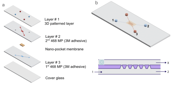 Figure 2: Various layers of the microfluidic device. a) Starting from the top, a 3D-printed part includes chambers designed explicitly for standard microfluidic tubing connectors. Next, there are two aligned adhesive layers with a nano-pocket membrane sandwiched between them. Finally, a cover glass is placed on the bottom to prevent any potential leaking and provide additional protection to the device. b) The image depicts the final assembled device. c) The membrane's larger opening is facing downwards. The numbers in panels b and c represent the same inlets and outlets on the device.