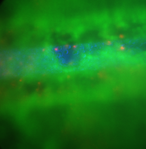 pncSi2_overlay