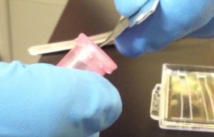 Screen shot 2013-04-23 at 3.42.05 PM