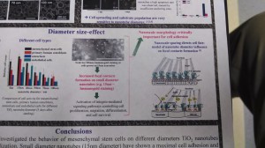 cells on nanotubes poster 4