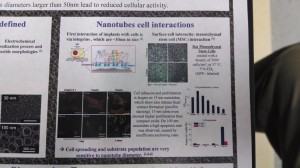 cells on nanotubes poster 2