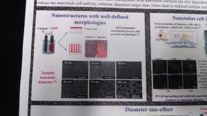 cells on nanotubes poster 1