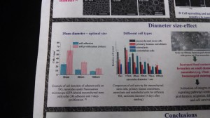 cells on nanotubes poster 3