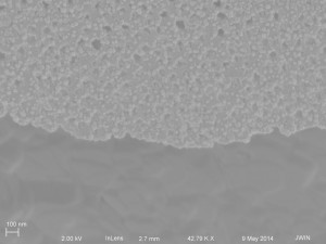 20 nm NPs on 1081