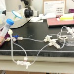 20140517_144030