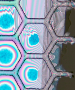 post_MG_stiction_edge