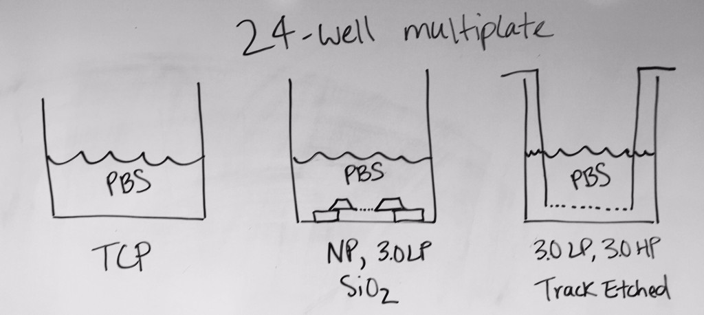 FullSizeRender