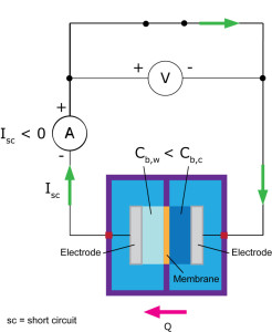 Fig 1(b) - Measurement - Isc