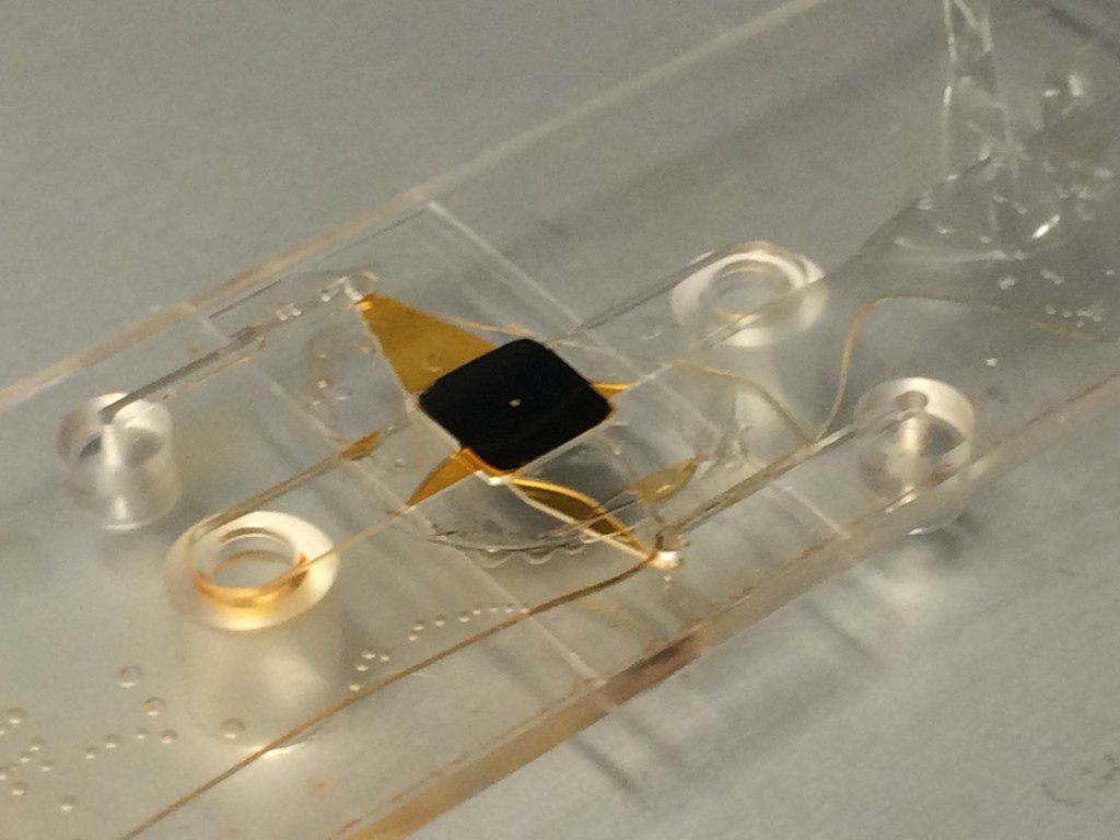 Salvaging the device is very difficult because of the amount of contact area between the brittle coverglass and the PDMS. The circular coverglass is shown here to be bonded very closely to the iBidi device, too closely. Simply shearing the device won't cut it.