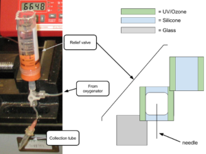 ECMO Post-ECMO Collection (1)
