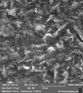 te-membrane-80-nm-pore-100-nm-beads-2-1