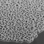 Screen Shot 2017-07-31 at 11.24.47 AM