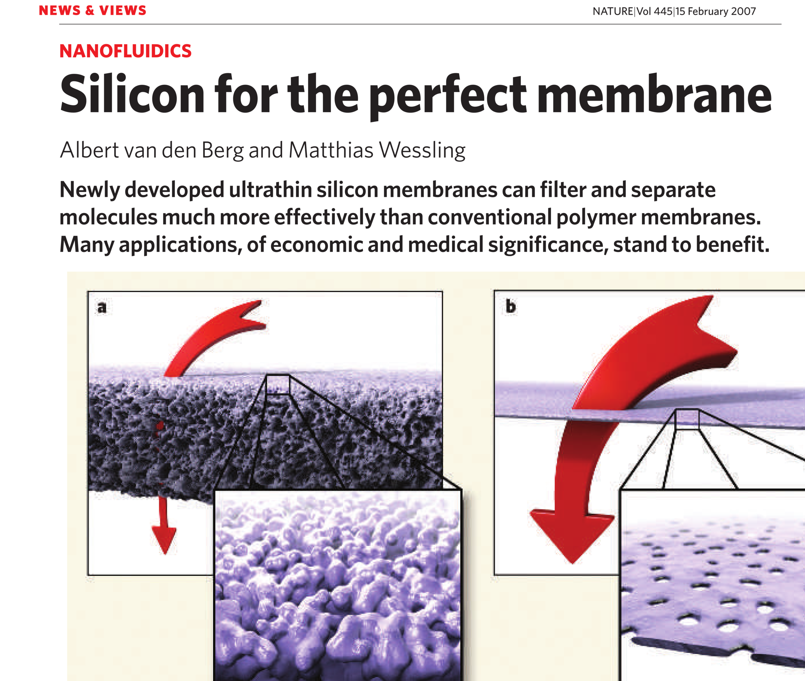 Nature News and Views: Silicon for the perfect membrane